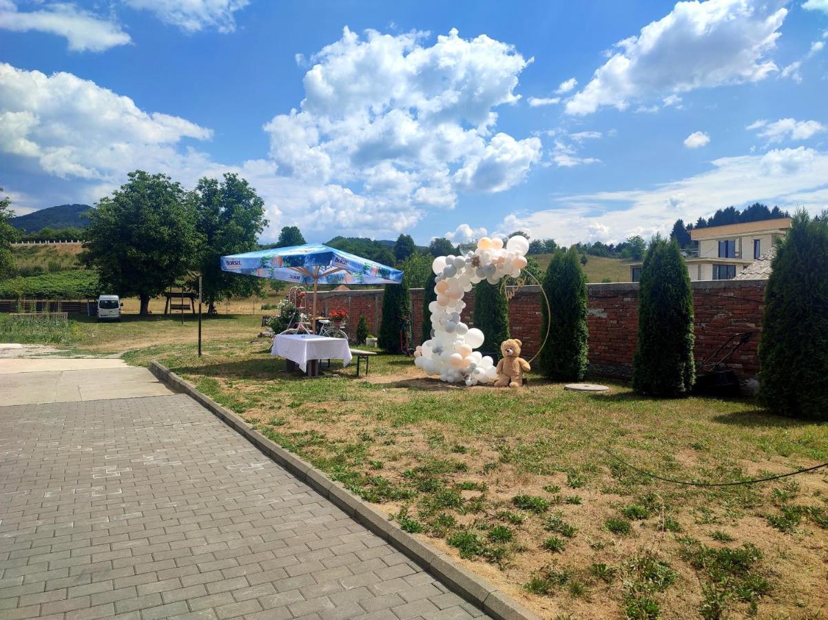 Casa Ideal Sighetu Marmaţiei Εξωτερικό φωτογραφία